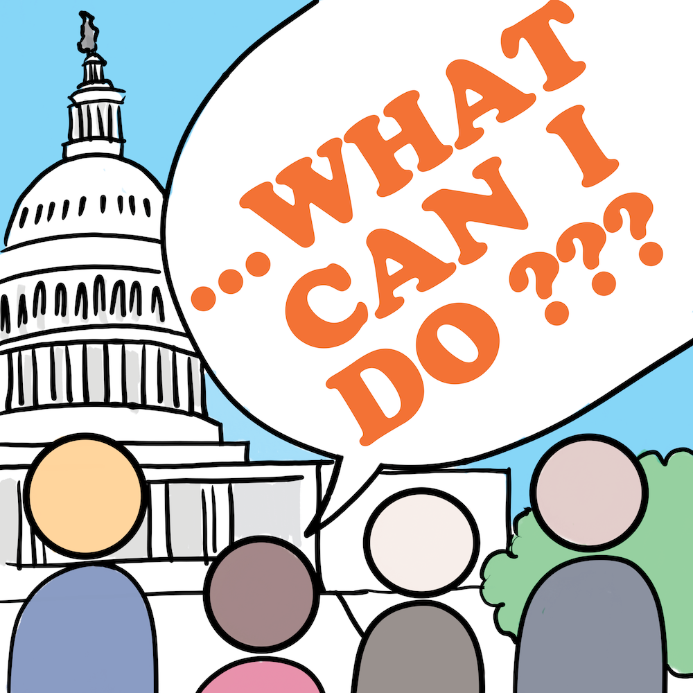 diverse stick figures looking at Capitol Hill asking the question, "What can I do?"
